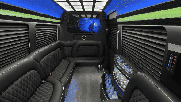 14 Passenger Sprinter Limousine Interior