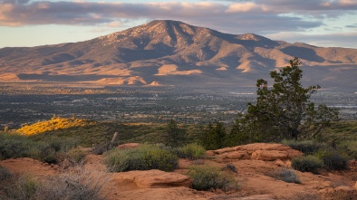 cucamonga guasti regional park